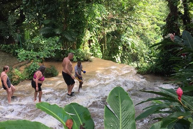 Konoko Falls and Tropical Garden Tour From Runaway Bay - Destination Highlights