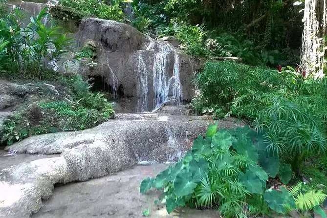 Konoko Falls and Tropical Garden Tour From Runaway Bay - Tour Inclusions