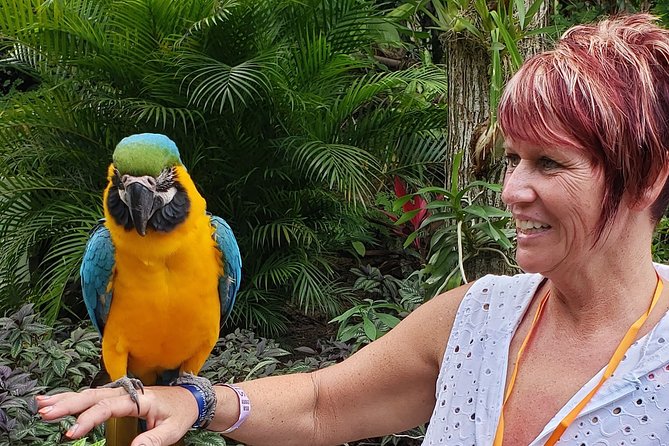 Konoko Falls & Bamboo Beach Transportation Only - Reviews and Ratings