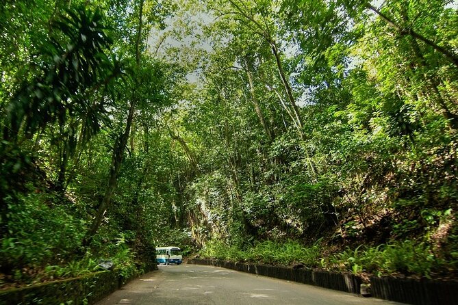 Konoko Falls, City Highlights Ocho Rios (Entry Fees Included) - Delicious Lunch Included