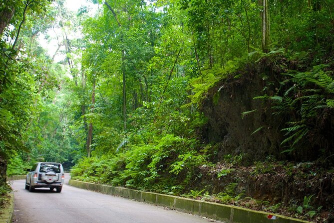 Konoko Falls, City Highlights Ocho Rios (Entry Fees Included) - Questions About Your Stay