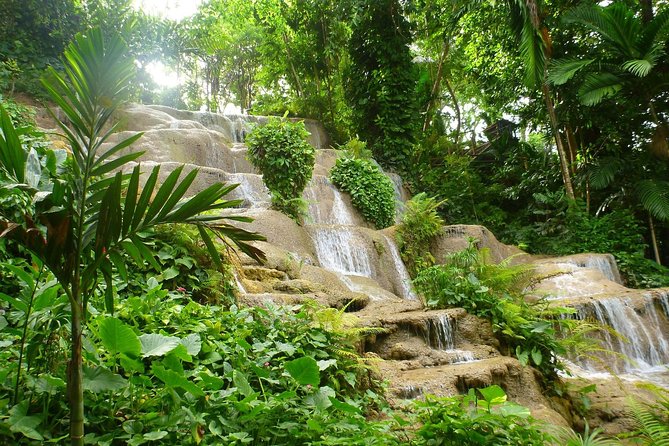 Konoko Falls,Fern Gully and Shopping - Booking Details