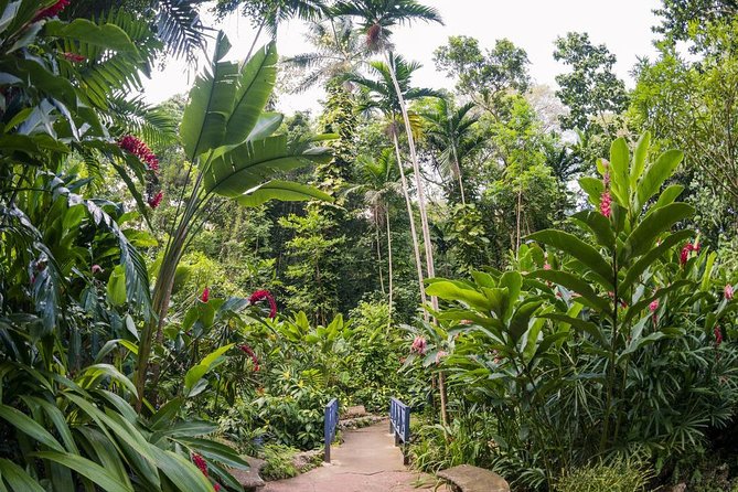 Konoko Garden & Mohoe Falls - What to Expect