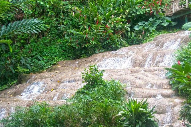 Konoko Garden & Mohoe Falls - Booking Your Stay
