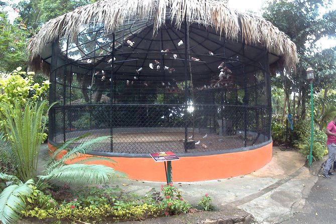 Konoko Waterfall and Zoo - Tour Inclusions and Pricing