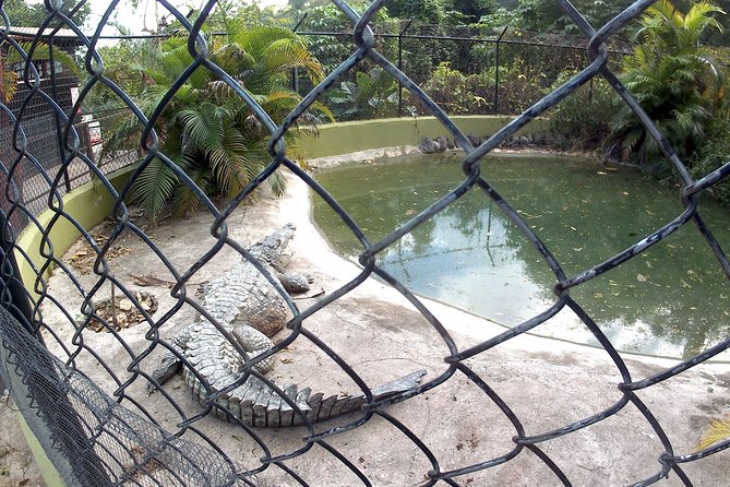 Konoko Waterfall and Zoo - Cancellation and Flexibility