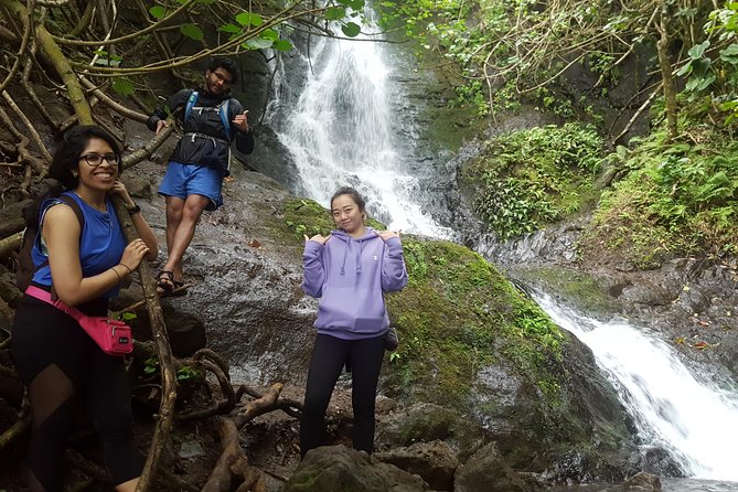 Koolau Waterfall Hike - Tour Details and Logistics