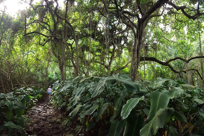 Koolau Waterfall Hike - Accessing the Trailhead