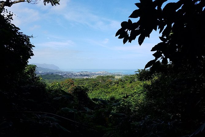 Koolau Waterfall Hike - Waterfall and Surrounding Area