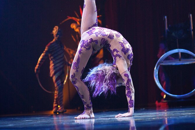 Kooza by Cirque Du Soleil: Under the Big Top in Seattle, WA - Accessibility Features