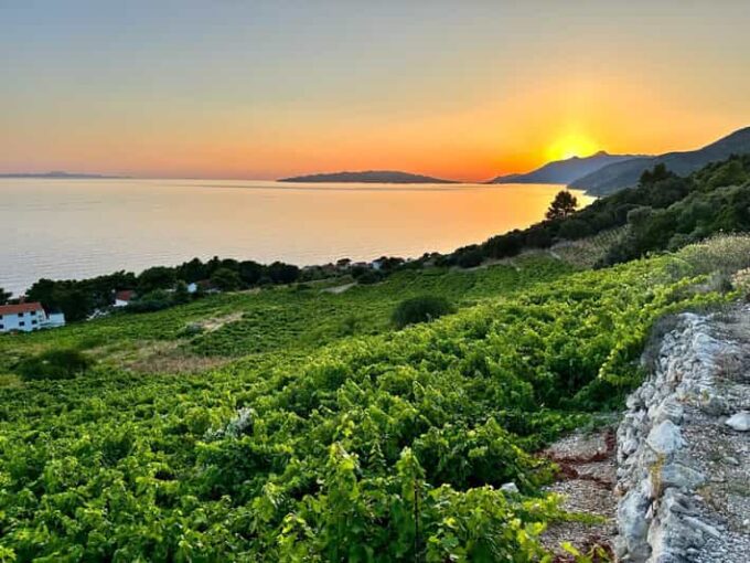 Korčula and Pelješac Peninsula Day Tour - Discover Korčula Island