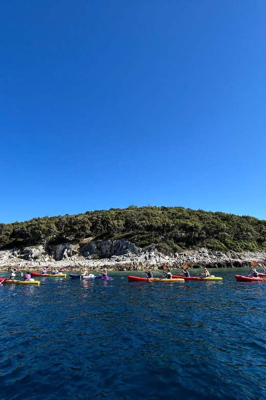 Korcula Archipelago Kayak Tour - Experience Highlights