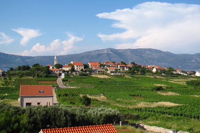 Korcula Bike & Wine Tour - Important Tour Details
