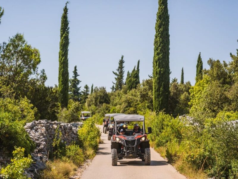 Korcula Buggy Safari With Wine Tasting - Adventure Highlights