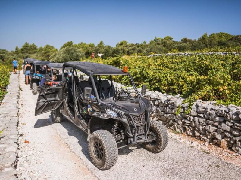 Korcula Buggy Safari With Wine Tasting - Customer Reviews and Ratings