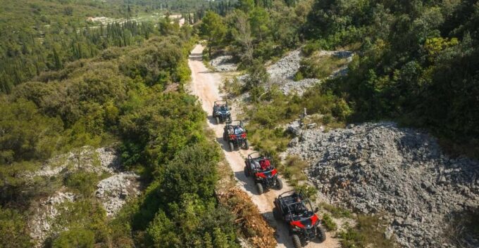 Korcula Buggy Safari With Wine Tasting - Wine Tasting at Adria