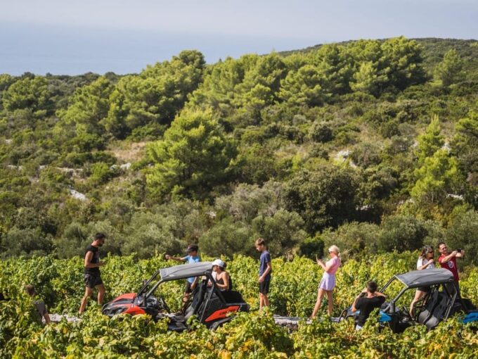 Korcula Buggy Safari With Wine Tasting - Frequently Asked Questions