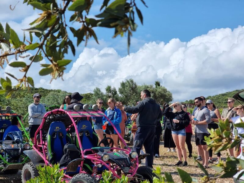 Korcula: Buggy Tour Including Local Food and Wine Tasting - Inclusions and Exclusions