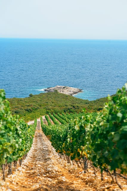 Korcula: Buggy Tour Including Local Food and Wine Tasting - Booking and Important Information