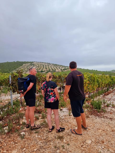 Korcula: Buggy Tour Including Local Food and Wine Tasting - Discovering Local Traditions and Cuisine