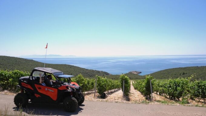 Korcula Island: Buggy Beach Safari With Lunch and Snorkeling - Booking Information