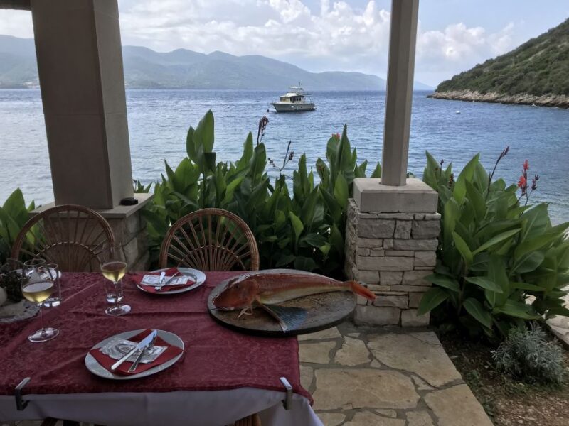 Korcula Island: Guided Snorkeling Adventure - Marine Life Encounters