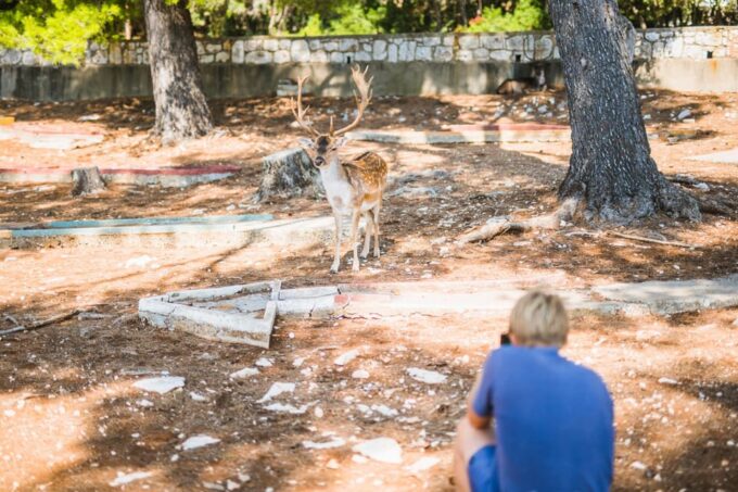 Korcula Lux Islands Picnic Boat Tour - Why Choose This Tour