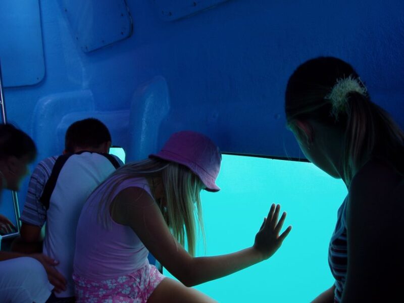 Korcula: Semi-Submarine Tour - Immersion and Viewing