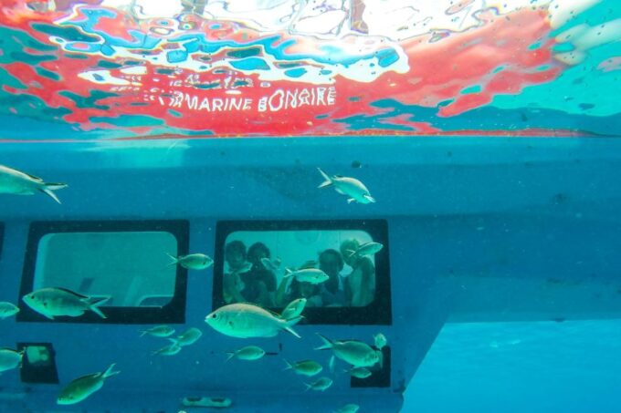 Korcula: Semi-Submarine Tour - Recommended Items