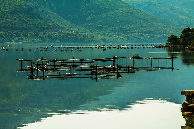 Korcula, Ston, Wine Tasting and Lunch - Tour From Dubrovnik - Indulge in Wine Tasting and Lunch