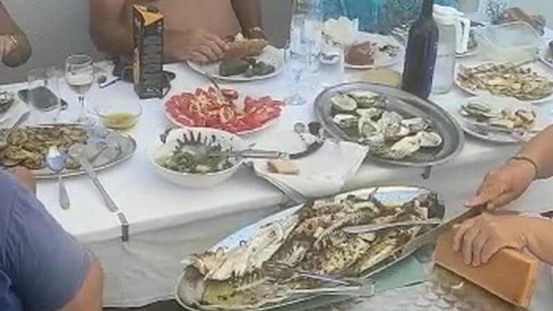 Korcula, Ston, Wine Tasting and Lunch - Tour From Dubrovnik - Lunch and Swimming in Drače