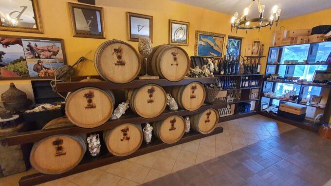 Korcula, Ston, Wine Tasting and Lunch - Tour From Dubrovnik - Important Information