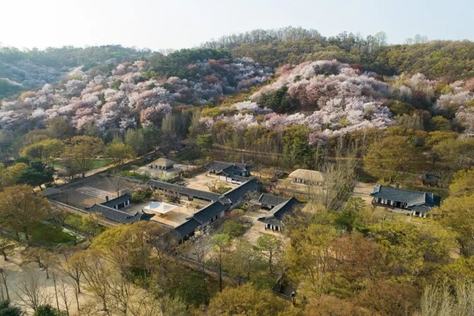 Korean Folk Village Afternoon Half Day Tour - Highlights of the Tour
