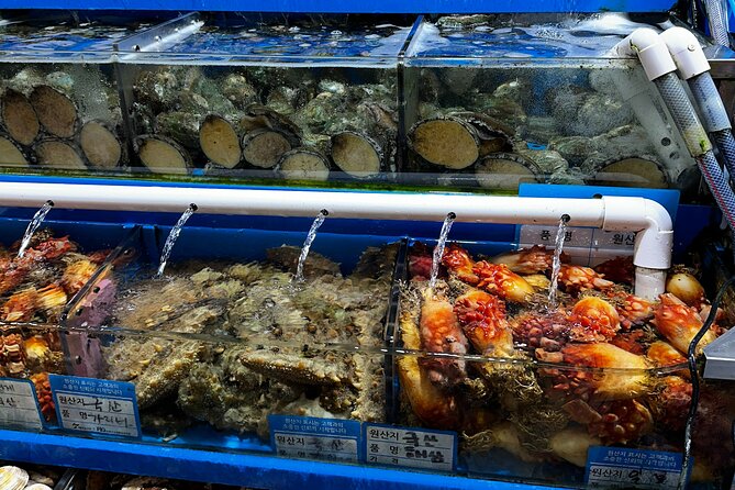 Korean Market Adventure With Chef Yie - Noryangjin Fish Market - Hands-on Experience