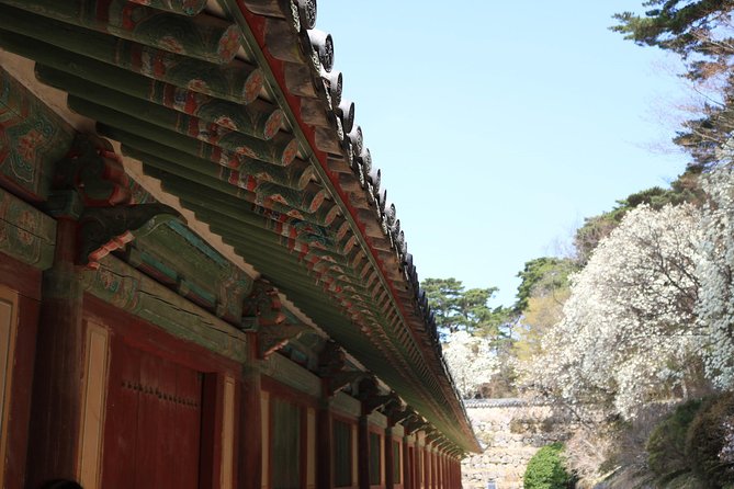 Korean UNESCO World Heritage Tour Including Gyeongju, Andong and Daegu(2n3d) - Discovering Daegus Historic Wonders