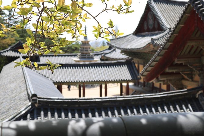 Korean UNESCO World Heritage Tour Including Gyeongju, Andong and Daegu(2n3d) - Tour Inclusions and Exclusions