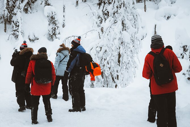 Korouoma Canyon Frozen Waterfalls - Booking and Logistics
