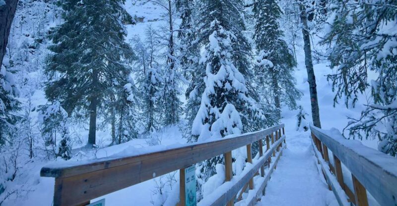 Korouoma: Frozen Waterfall Hiking Tour - Gear and Preparation