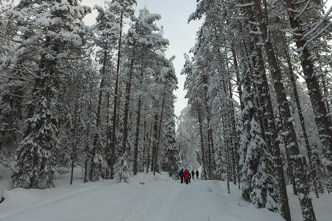 Korouoma National Park and Frozen Waterfalls Hiking Tour - Experience Highlights