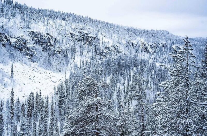 Korouoma National Park: Frozen Waterfalls Hike & Barbeque - Booking and Cancellation