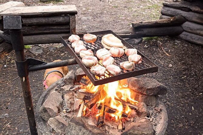 Korouoma National Park Sightseeing, Walking and BBQ - Pickup and Accessibility Information