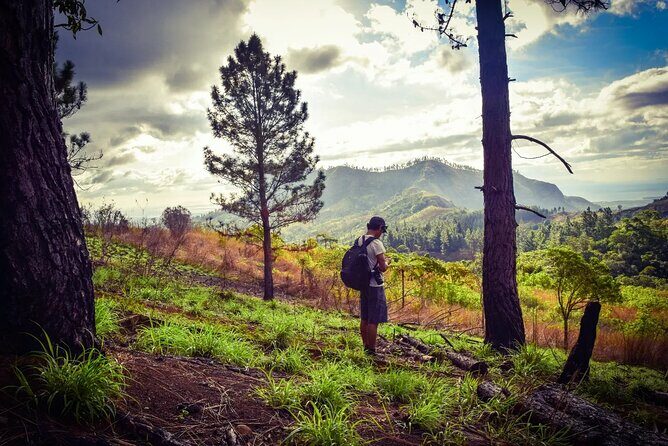 Koroyanitu National Heritage Park Fiji - Hike - Waterfall - The Itinerary Breakdown