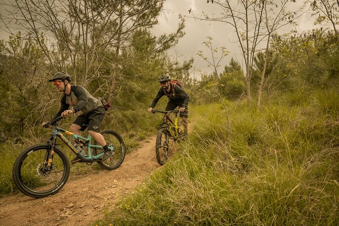 Kos Adventure Emtb Tours - Customer Reviews Breakdown