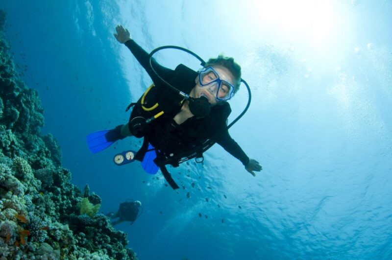 Kos: Beginner Scuba Diving at Pserimos Island - Participant Requirements