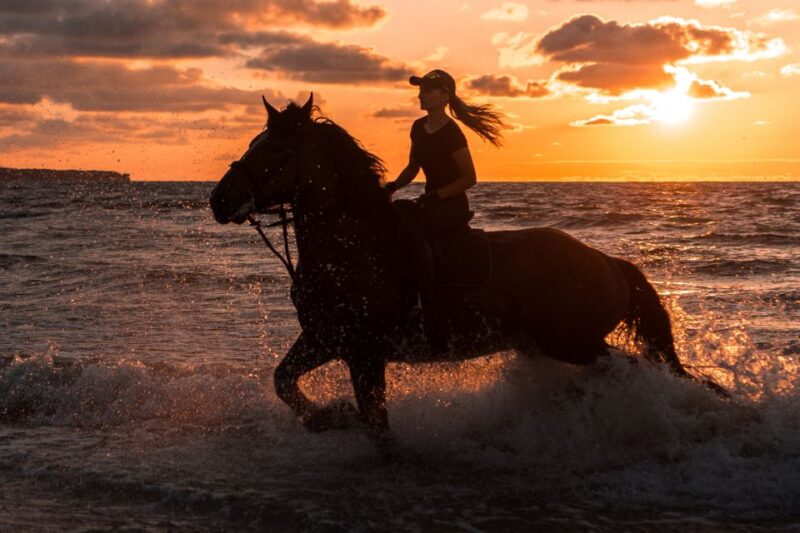 Kos: Horse Riding Experience on the Beach With Instructor - Instructor and Safety