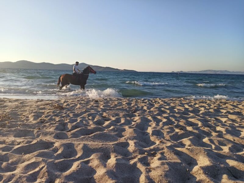 Kos: Horse Riding Experience on the Beach With Instructor - Convenience of Hotel Pickup