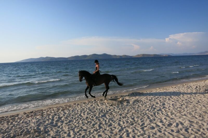 Kos: Horse Riding Experience on the Beach With Instructor - Customer Feedback and Ratings