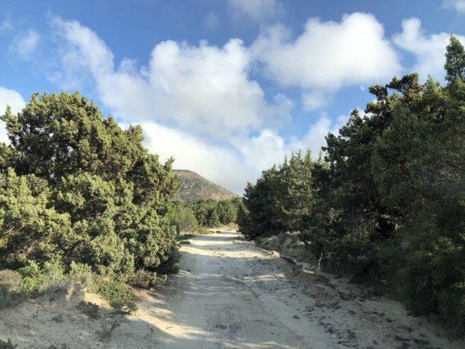 Kos : Off the Beaten Track Tour in Kefalos & Cavo Paradiso - Important Tour Information