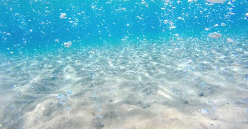 Kos: Paradise Beach Return Transfer - Key Points