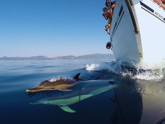 Kos: Small Group Full-Day Sailing With Meal, Drinks, & Swim - Preparing for the Cruise